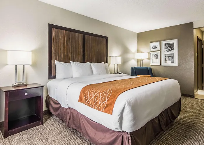 Comfort Inn Dallas Park Central